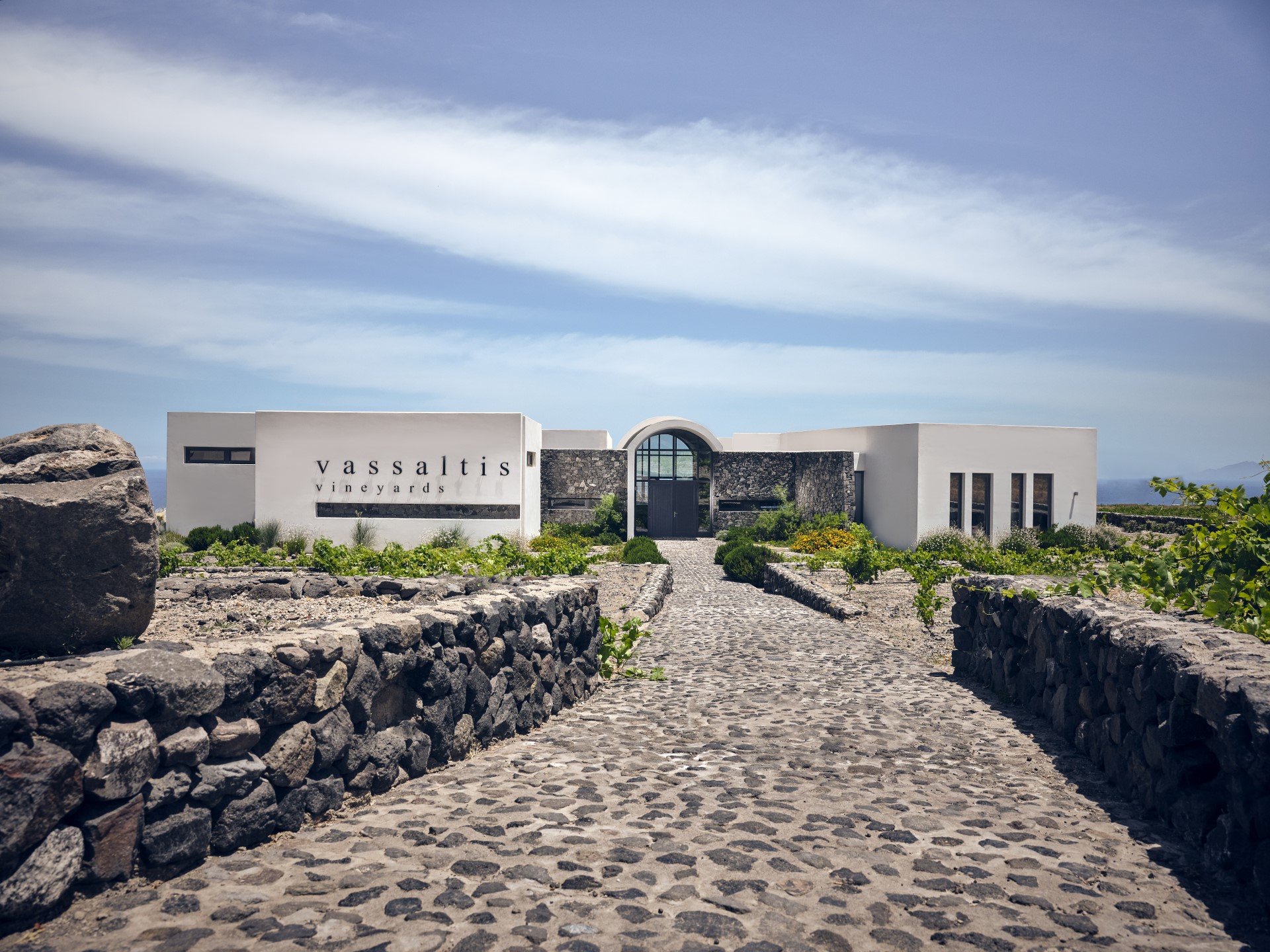 Vasaltis vineyard