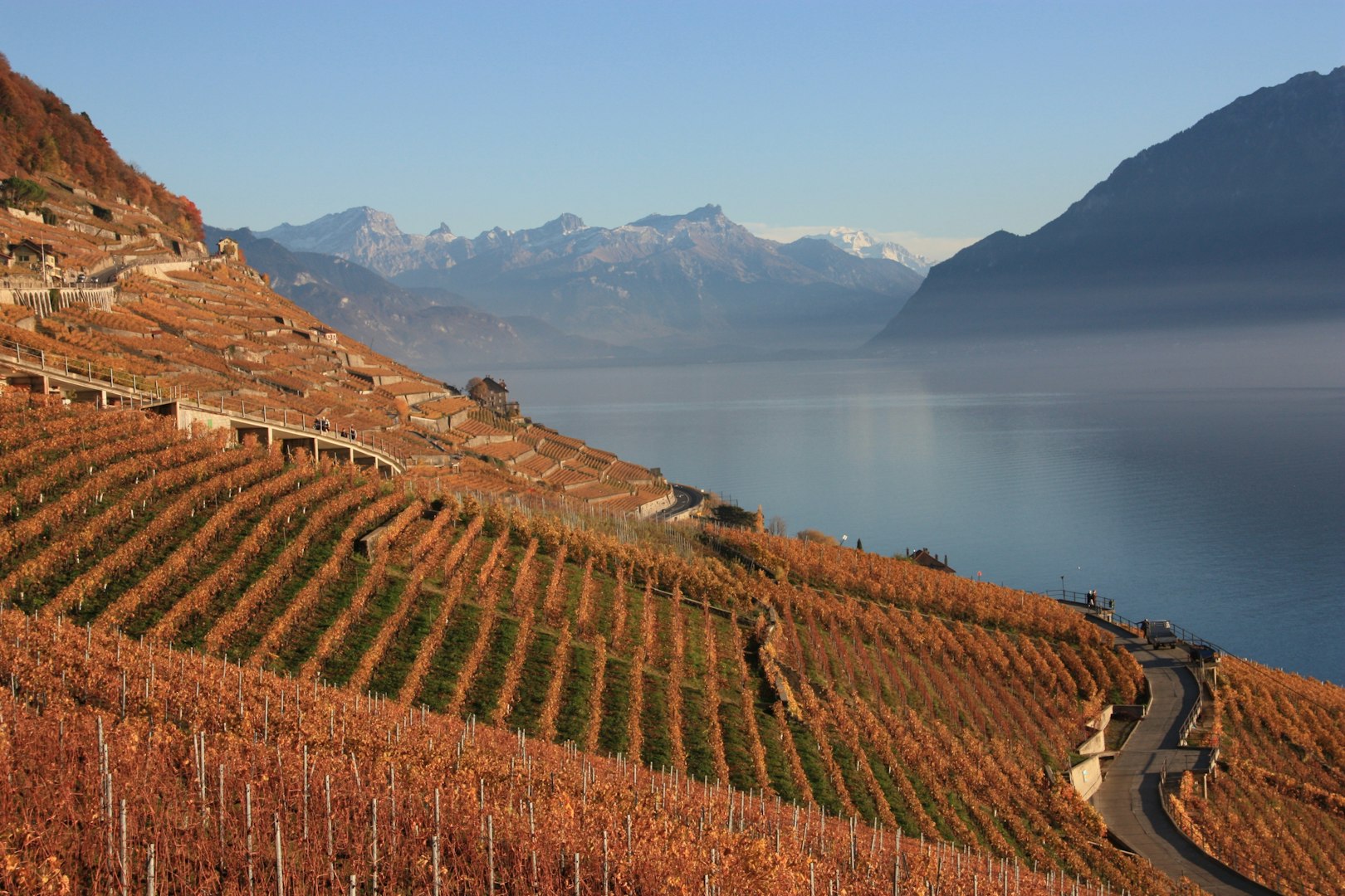 Wine tasting wines of the season