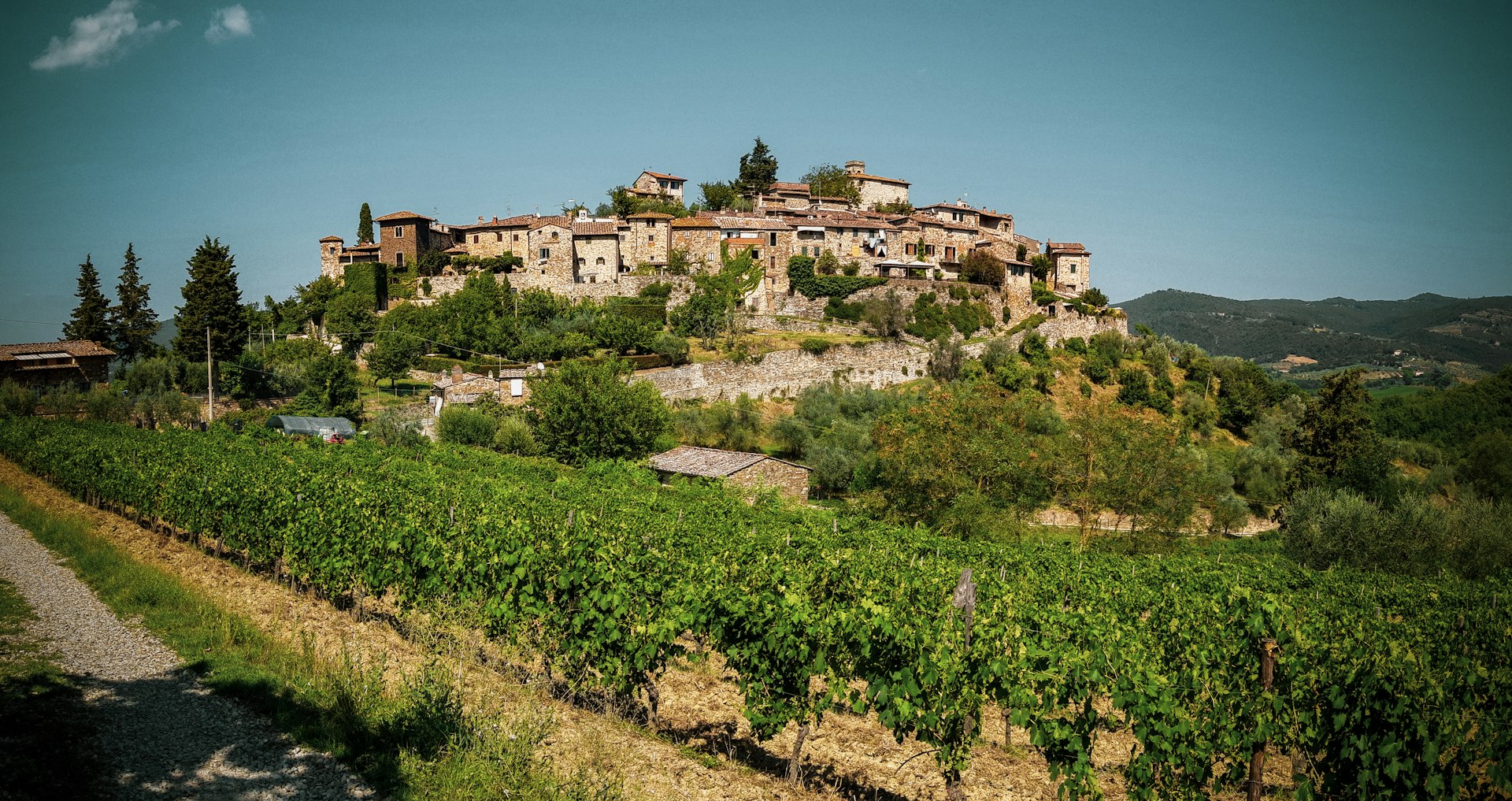 Chianti wine