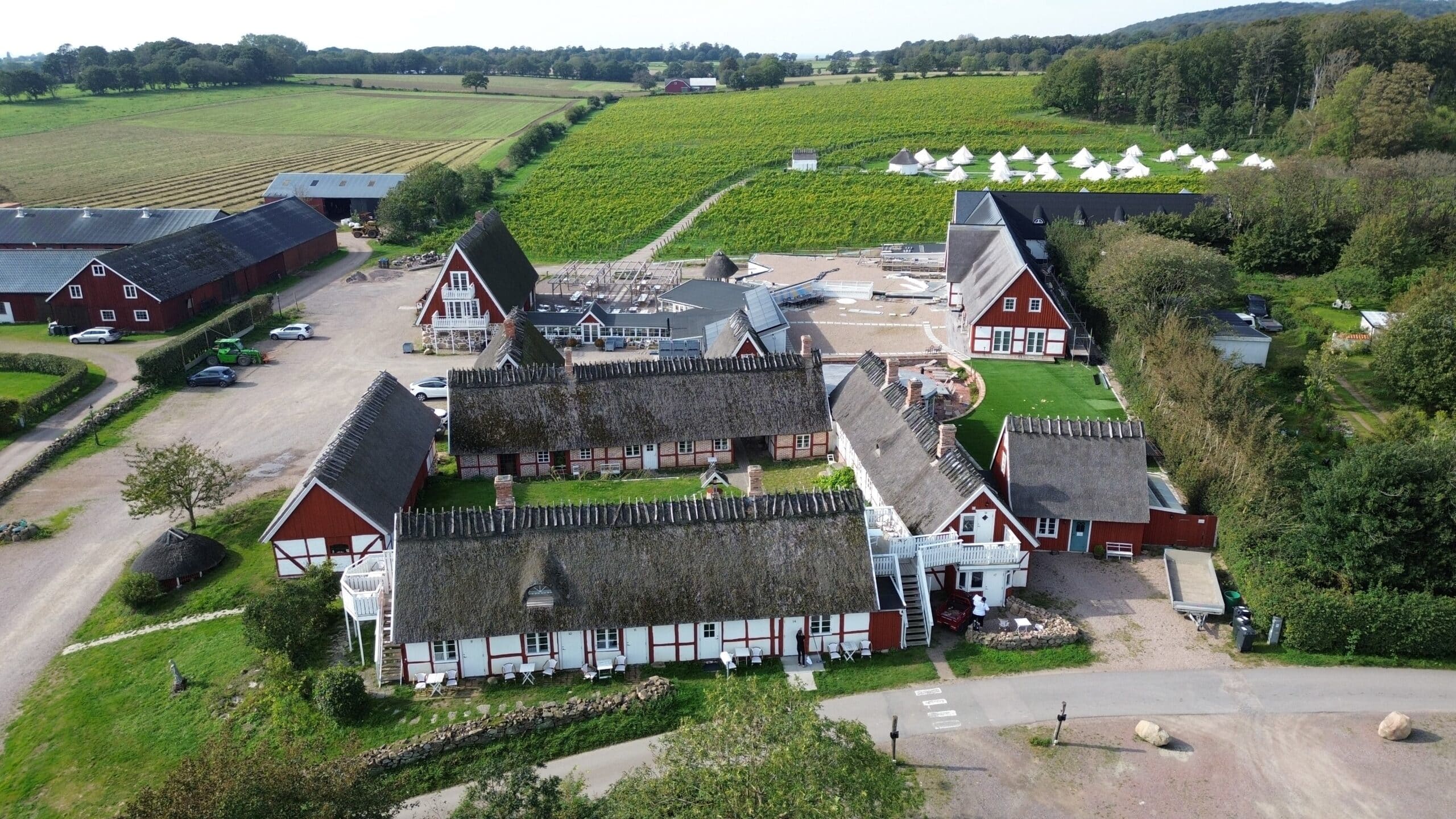 Arilds vingård